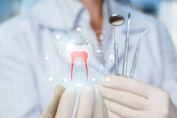 Best Laser Dentistry  in Jasmine Estates, FL