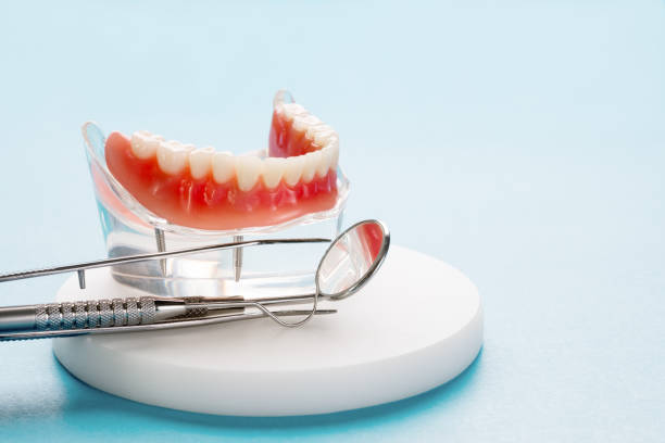 Best Preventive Dentistry  in Jasmine Estates, FL